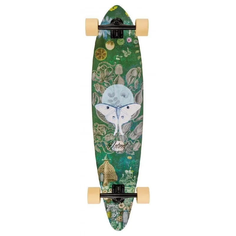 Skateboard with Modern Design-D Street Pintail Woodland