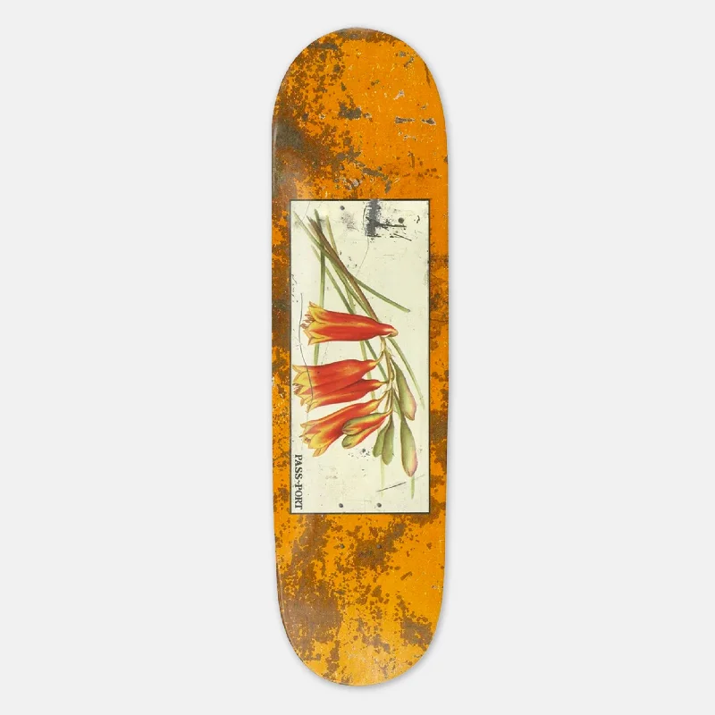 Skateboard Deck for Bumpy Roads-Pass Port Skateboards - 8.25" Bells Tin Floral Series Deck